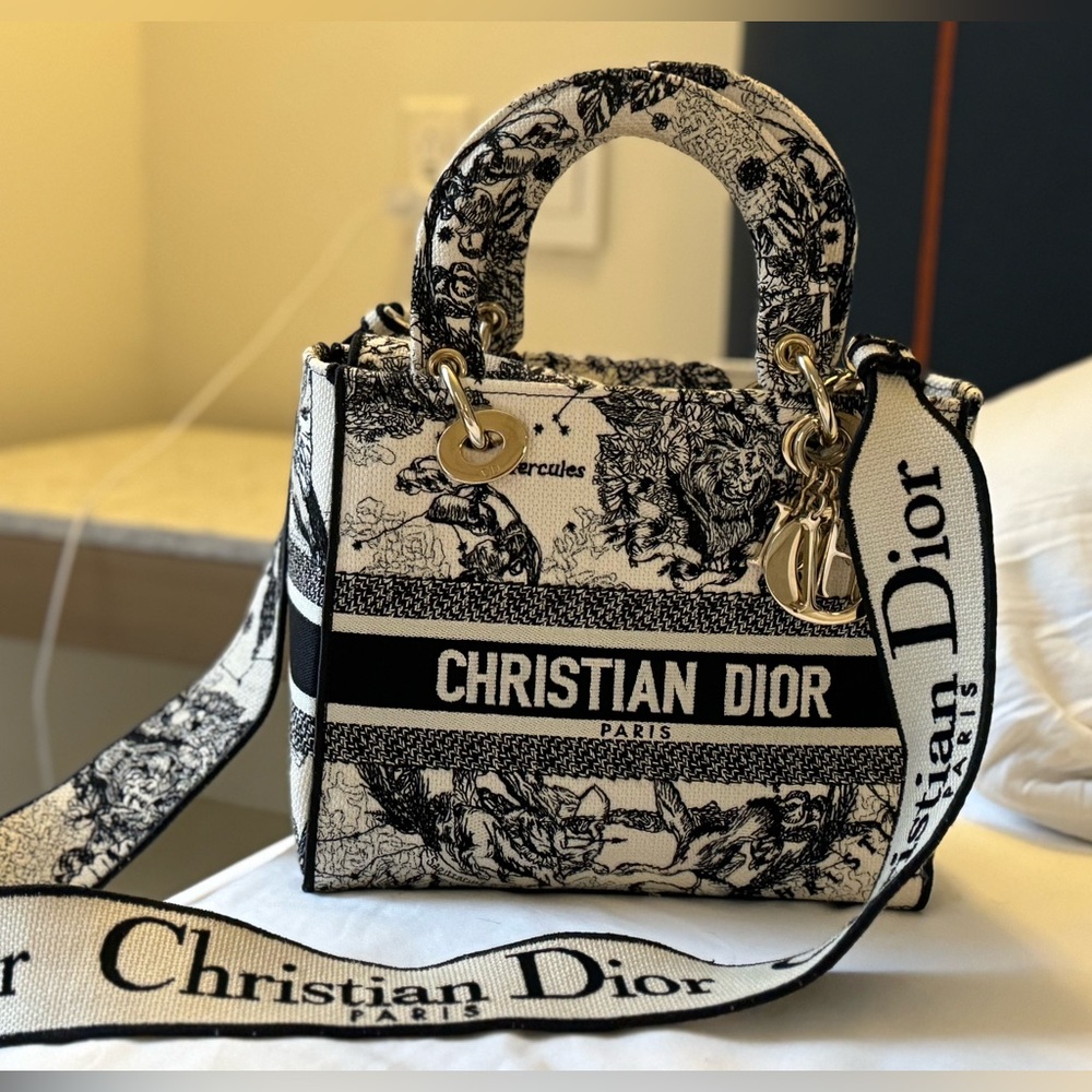 Christian Dior Medium Lady D-Lite Bag